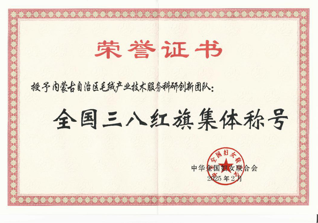 全国三八红旗集体称号.png